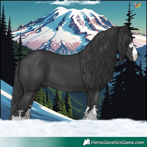 Horse Color:Black 