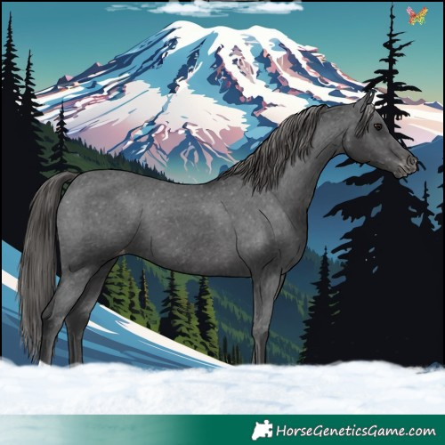 Horse Color:Black Varnish 