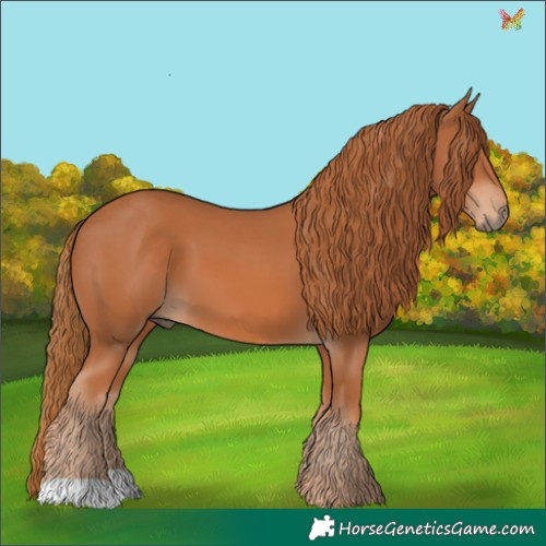 Horse Color:Chestnut 