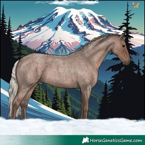 Horse Color:Silver Blue Roan 