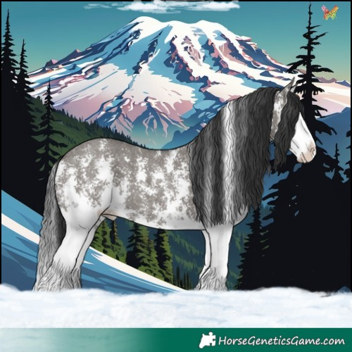 Horse Color:Grullo Sabino Splash 