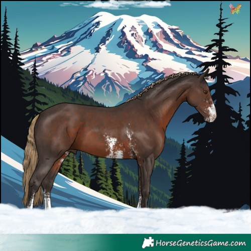 Horse Color:Liver Chestnut Sabino 