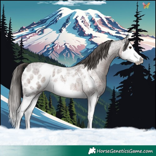Horse Color:Liver Red Roan Splash Blanket 