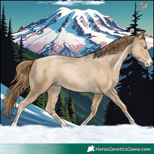 Horse Color:Smoky Black Pearl 