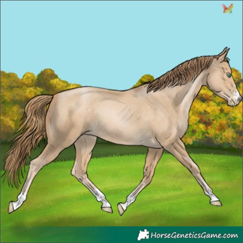 Horse Color:Smoky Black Pearl 