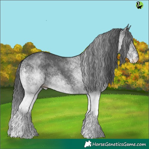 Horse Color:White Spotted Black 