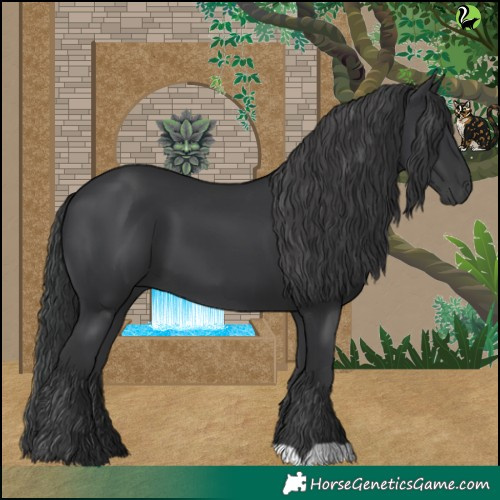 Horse Color:Black 