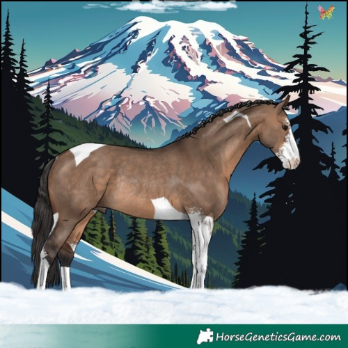 Horse Color:Brown Dun Sabino Tobiano Rabicano 