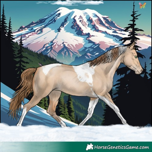Horse Color:Bay Pearl Dun Tobiano Rabicano 