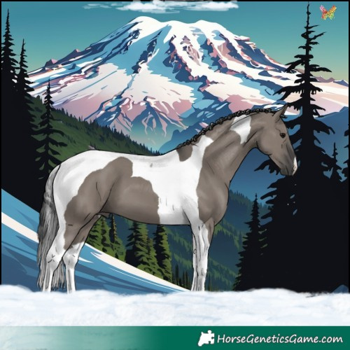 Horse Color:Grullo Tobiano 