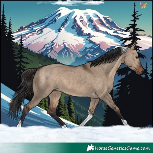 Horse Color:Brown Dun Tobiano Rabicano 