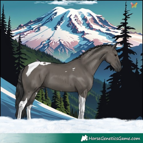 Horse Color:Grullo Tobiano 