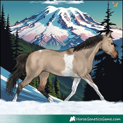 Horse Color:Bay Dun Tobiano 