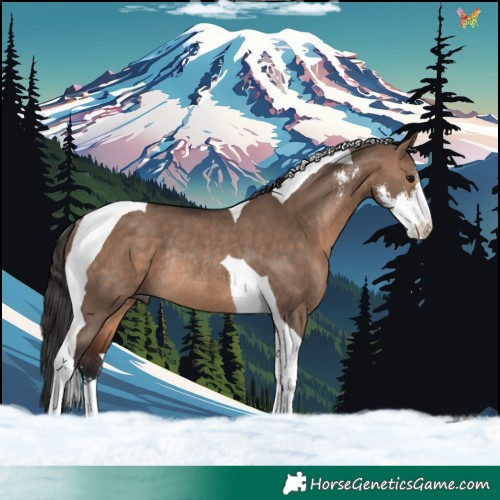 Horse Color:Brown Dun Sabino Tobiano Rabicano 