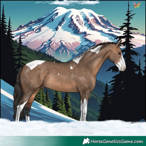 Horse Color:Bay Dun Sabino Tobiano Rabicano 