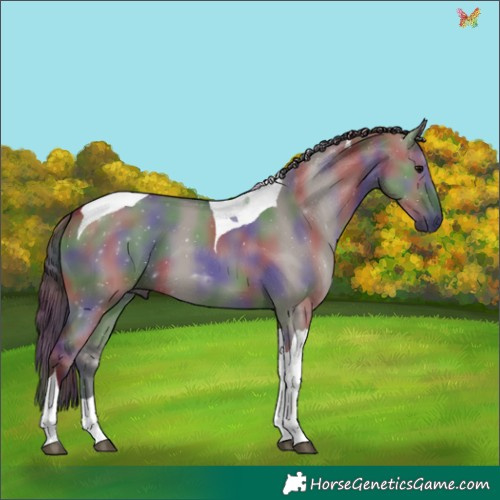 Horse Color:Nacre Grullo Tobiano 