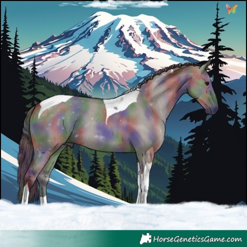 Horse Color:Nacre Grullo Tobiano 