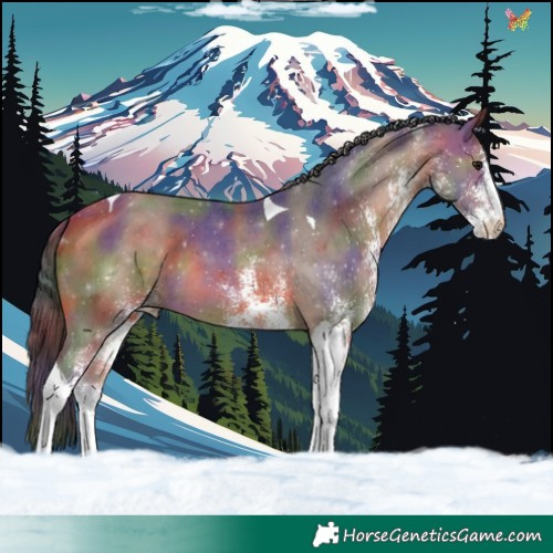 Horse Color:Nacre White Spotted Bay Tobiano 