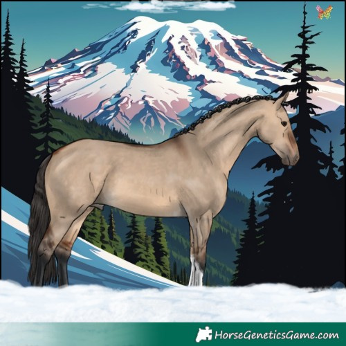 Horse Color:Bay Dun Tobiano 