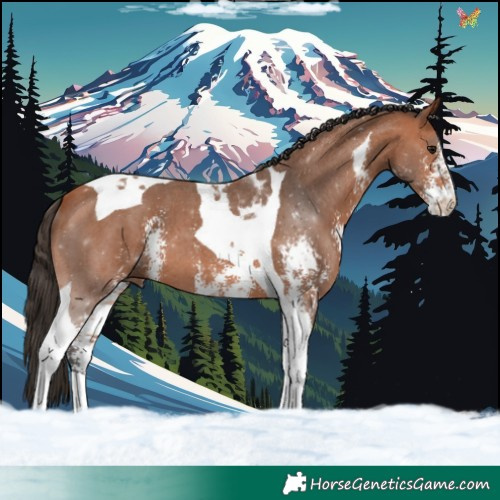 Horse Color:Bay Sabino Tobiano 