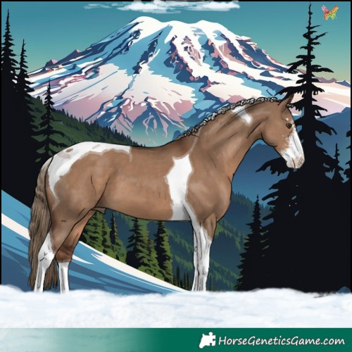 Horse Color:Liver Red Dun Sabino Tobiano 