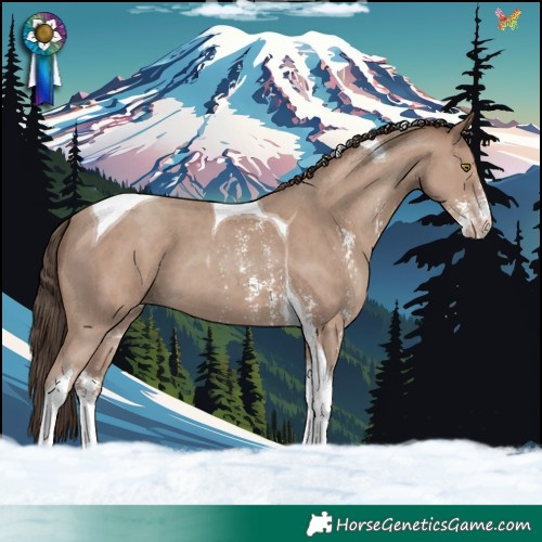 Horse Color:Classic Champagne Sabino Tobiano 