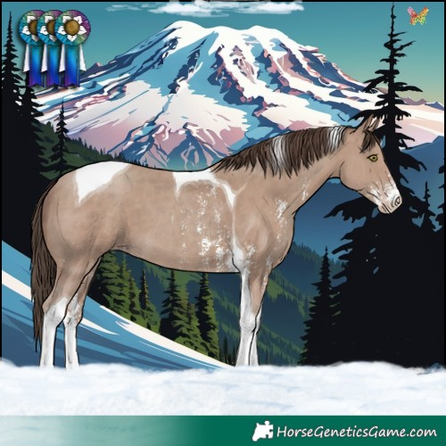Horse Color:Classic Champagne Sabino Tobiano 