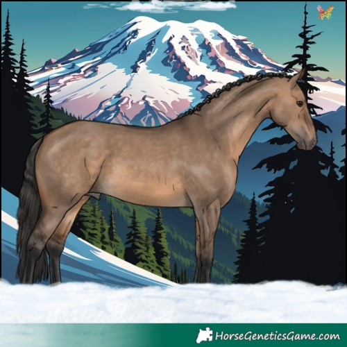Horse Color:Brown Dun 