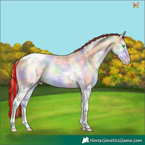Horse Color:Painted Nacre Buckskin Ice Pearl Onyx Tobiano 