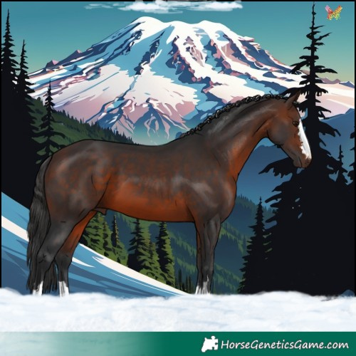 Horse Color:Brown 