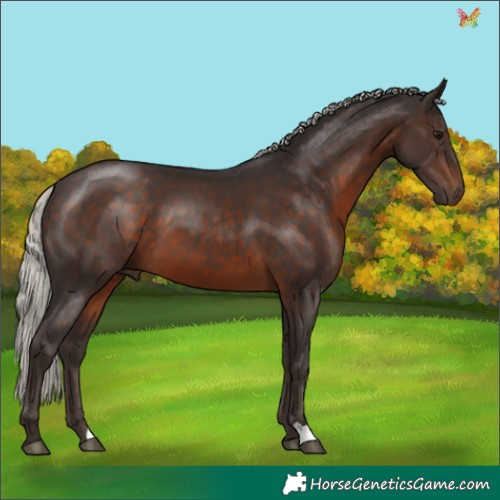 Horse Color:Silver Brown 