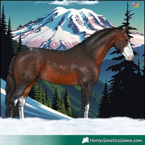 Horse Color:Brown Sabino 