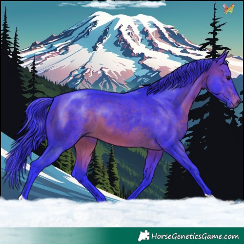 Horse Color:Watercolor Brown 