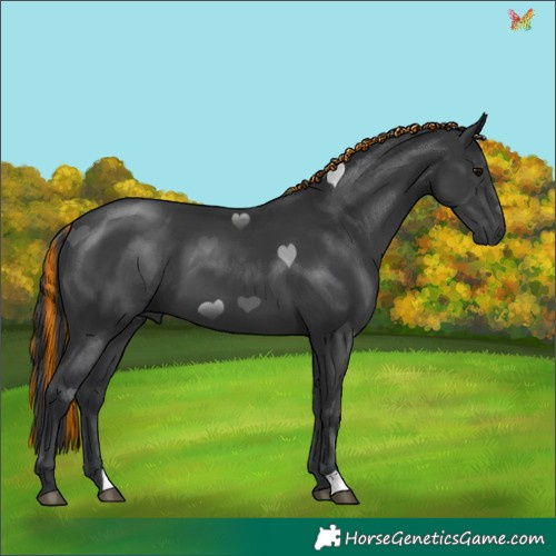 Horse Color:Painted Black 