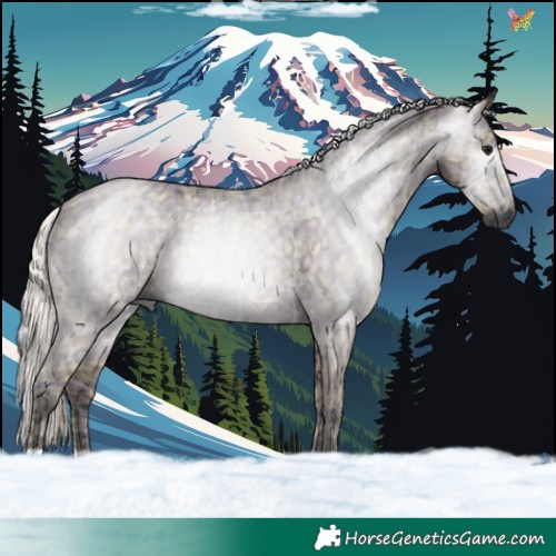 Horse Color:Gray Plaid  Silver Smoky Grullo Ice 
