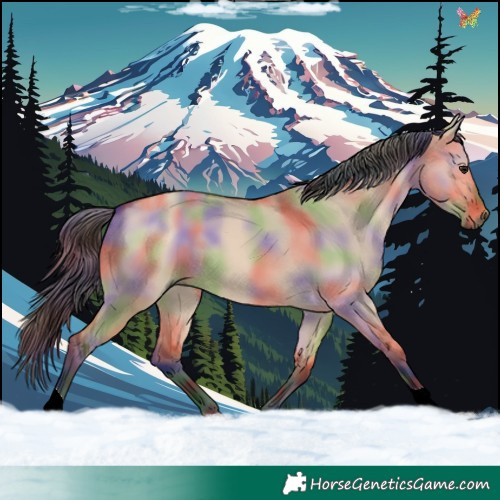 Horse Color:Nacre Bay Dun 