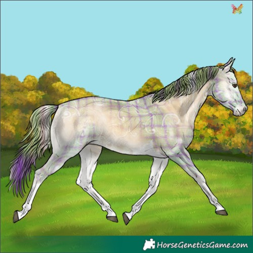 Horse Color:Watercolor Plaid  Red Onyx Ice Tobiano 