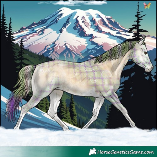Horse Color:Watercolor Plaid  Red Onyx Ice Tobiano 