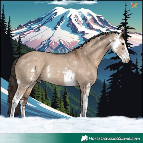 Horse Color:Liver Red Dun Sabino 