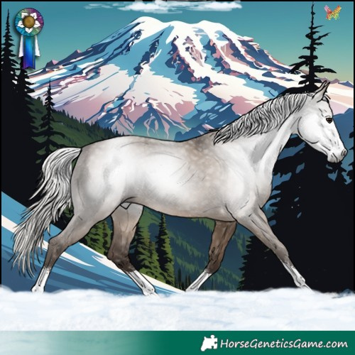 Horse Color:Gray Silver Grullo Sabino 
