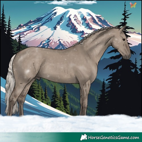 Horse Color:Silver Grullo 
