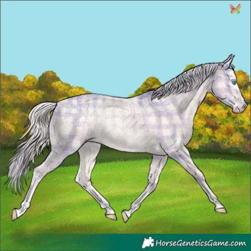 Horse Color:Plaid  Cremello Ice 