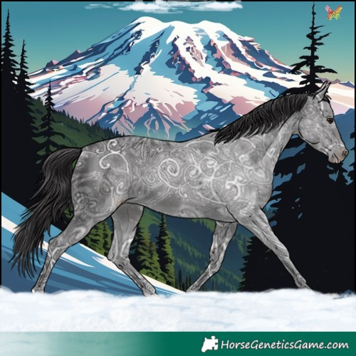 Horse Color:Smoky Black Ice 