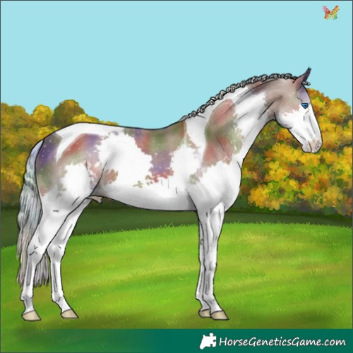 Horse Color:Nacre Silver Black Splash Tobiano 