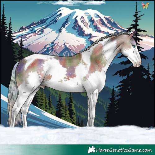 Horse Color:Nacre Silver Black Splash Tobiano 
