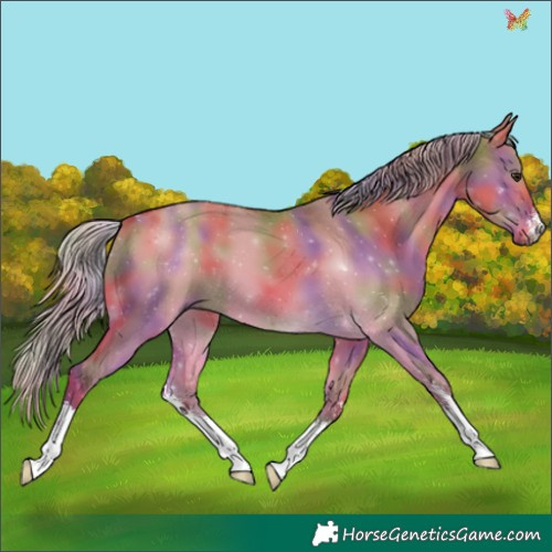 Horse Color:Nacre Silver Bay Dun Sabino 