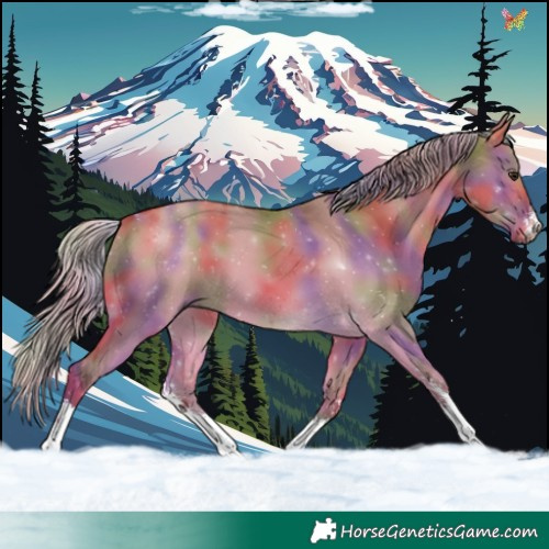 Horse Color:Nacre Silver Bay Dun Sabino 