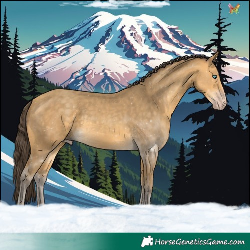 Horse Color:Sable Cream Champagne 