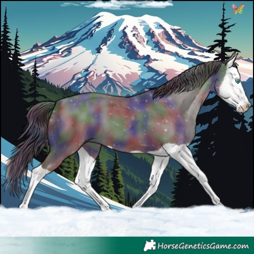 Horse Color:Nacre Smoky Grullo Splash 