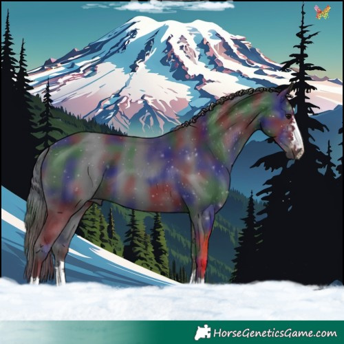 Horse Color:Nacre Black 